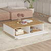 fr19 ob vacia zostava s reg lom borovica2189231e