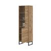LOFT 05, vitrina 2D L P, dub Wotan 7